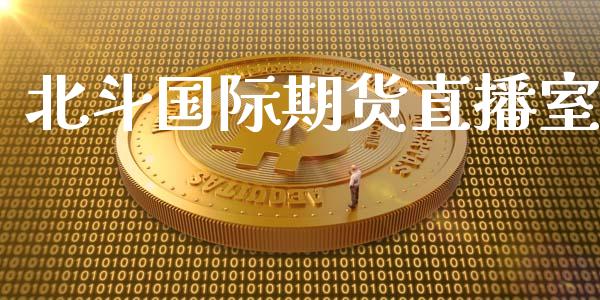 北斗国际期货直播室_https://www.lansai.wang_期货直播_第1张