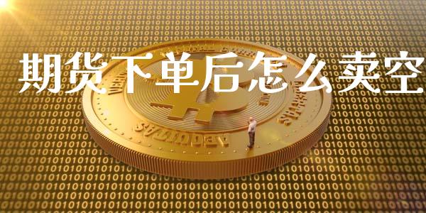 期货下单后怎么卖空_https://www.lansai.wang_期货学院_第1张
