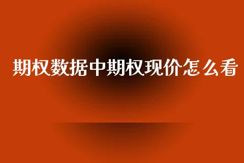 期权数据中期权现价怎么看_https://www.lansai.wang_期货资讯_第1张