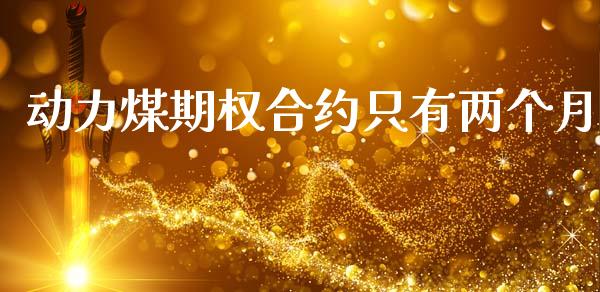 动力煤期权合约只有两个月_https://www.lansai.wang_股指期货_第1张