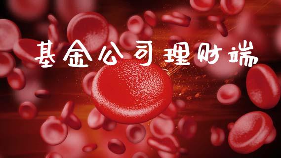 基金公司理财端_https://www.lansai.wang_基金理财_第1张