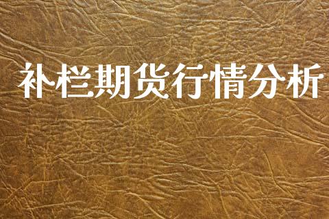 补栏期货行情分析_https://www.lansai.wang_期货资讯_第1张