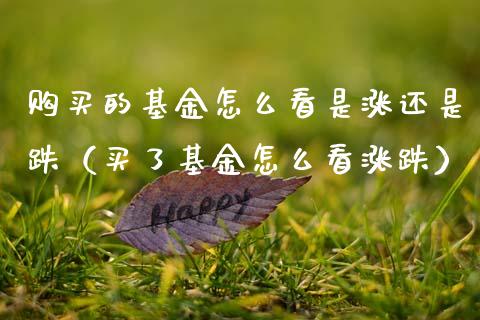 购买的基金怎么看是涨还是跌（买了基金怎么看涨跌）_https://www.lansai.wang_基金理财_第1张