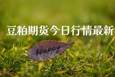 豆粕期货今日行情最新_https://www.lansai.wang_期货行情_第1张