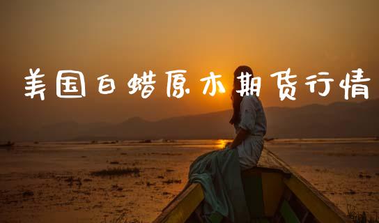 美国白蜡原木期货行情_https://www.lansai.wang_股指期货_第1张
