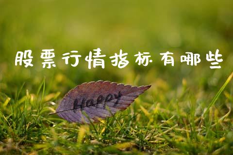 股票行情指标有哪些_https://www.lansai.wang_股票知识_第1张