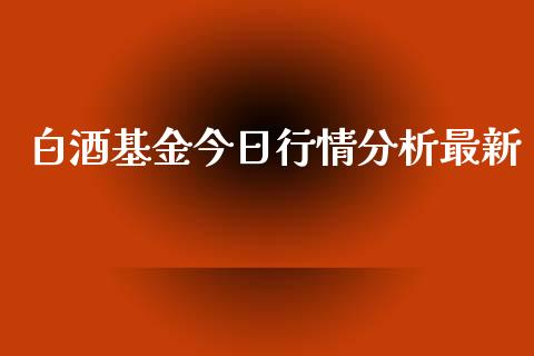 白酒基金今日行情分析最新_https://www.lansai.wang_基金理财_第1张