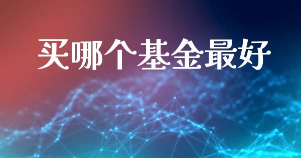 买哪个基金最好_https://www.lansai.wang_基金理财_第1张