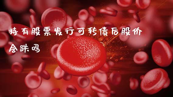 持有股票发行可转债后股价会跌吗_https://www.lansai.wang_期货行情_第1张