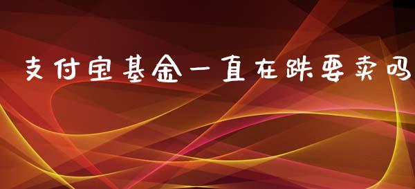支付宝基金一直在跌要卖吗_https://www.lansai.wang_基金理财_第1张