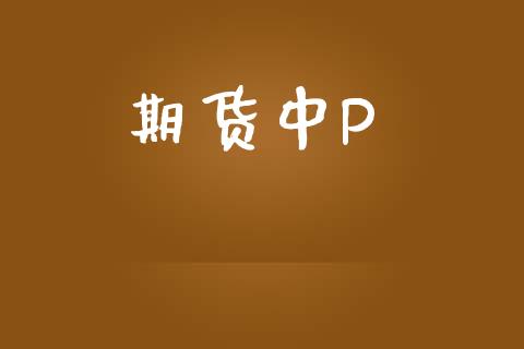 期货中P_https://www.lansai.wang_期货资讯_第1张