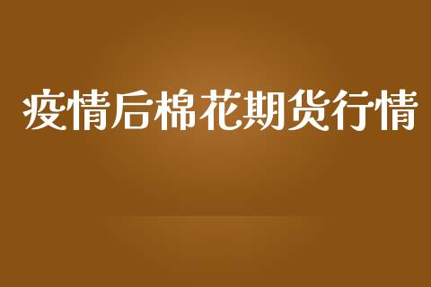 疫情后棉花期货行情_https://www.lansai.wang_期货资讯_第1张