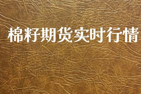 棉籽期货实时行情_https://www.lansai.wang_期货行情_第1张