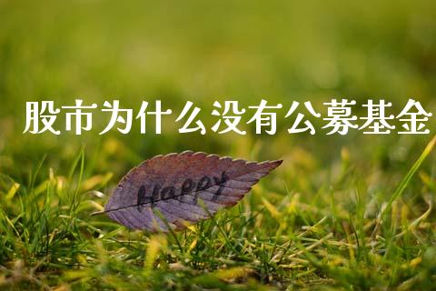 股市为什么没有公募基金_https://www.lansai.wang_基金理财_第1张