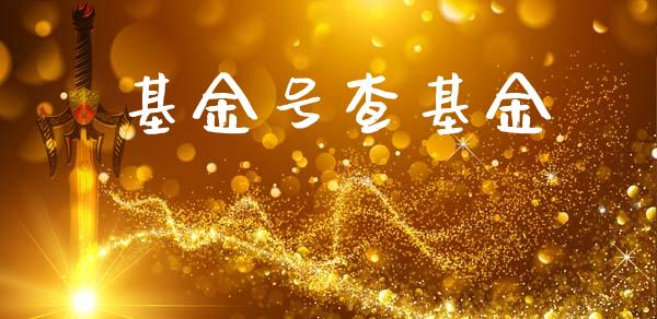 基金号查基金_https://www.lansai.wang_基金理财_第1张