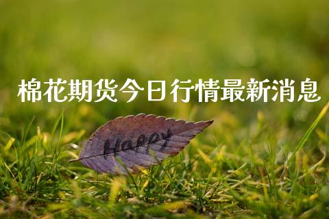 棉花期货今日行情最新消息_https://www.lansai.wang_未分类_第1张