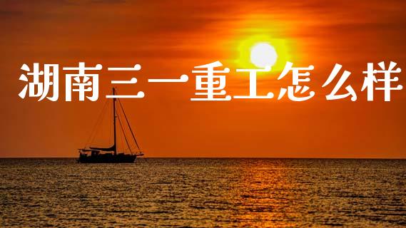 湖南三一重工怎么样_https://www.lansai.wang_股票问答_第1张