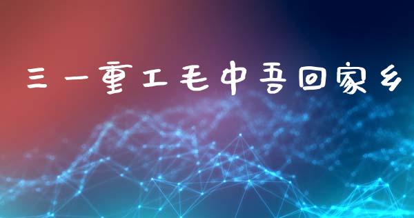 三一重工毛中吾回家乡_https://www.lansai.wang_股票知识_第1张