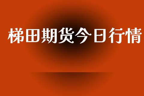 梯田期货今日行情_https://www.lansai.wang_期货资讯_第1张