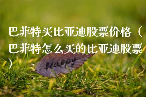 巴菲特买比亚迪股票价格（巴菲特怎么买的比亚迪股票）_https://www.lansai.wang_股票知识_第1张