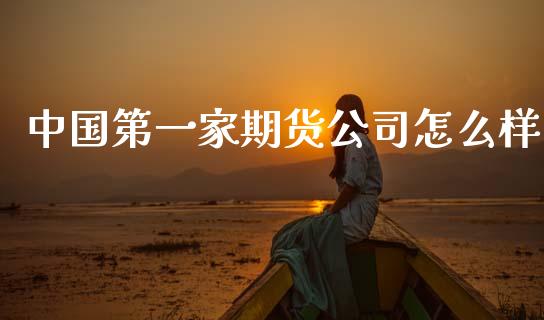 中国第一家期货公司怎么样_https://www.lansai.wang_期货学院_第1张