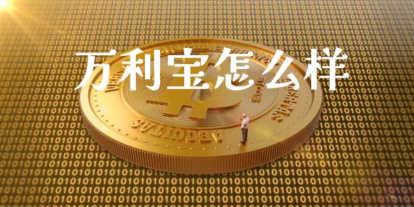 万利宝怎么样_https://www.lansai.wang_股票知识_第1张