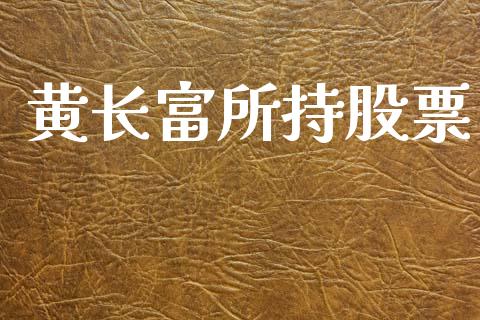 黄长富所持股票_https://www.lansai.wang_基金理财_第1张