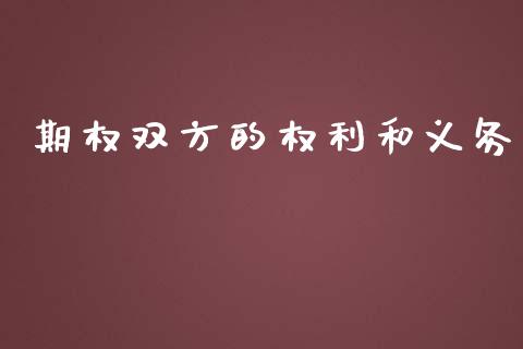 期权双方的权利和义务_https://www.lansai.wang_恒生指数_第1张