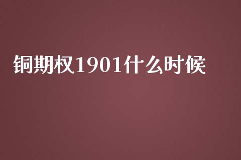 铜期权1901什么时候_https://www.lansai.wang_理财百科_第1张