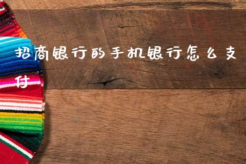 招商银行的手机银行怎么支付_https://www.lansai.wang_理财百科_第1张