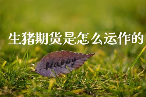 生猪期货是怎么运作的_https://www.lansai.wang_期货直播_第1张