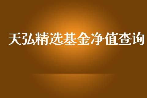 天弘精选基金净值查询_https://www.lansai.wang_基金理财_第1张