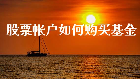 股票帐户如何购买基金_https://www.lansai.wang_基金理财_第1张