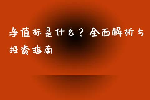 净值标是什么？全面解析与投资指南_https://www.lansai.wang_期货直播_第1张