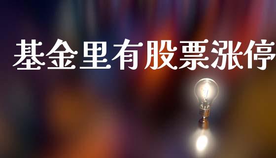 基金里有股票涨停_https://www.lansai.wang_基金理财_第1张