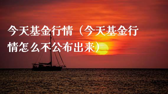今天基金行情（今天基金行情怎么不公布出来）_https://www.lansai.wang_基金理财_第1张
