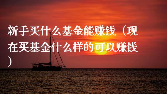 新手买什么基金能赚钱（现在买基金什么样的可以赚钱）_https://www.lansai.wang_基金理财_第1张