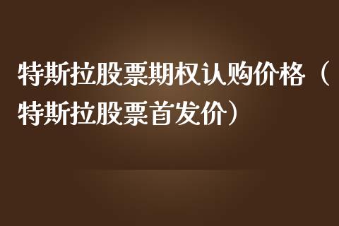 特斯拉股票期权认购价格（特斯拉股票首发价）_https://www.lansai.wang_股票问答_第1张