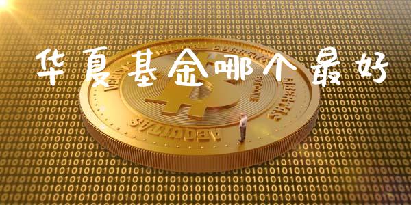 华夏基金哪个最好_https://www.lansai.wang_基金理财_第1张