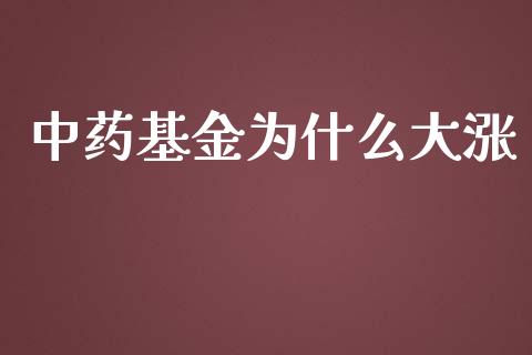 中药基金为什么大涨_https://www.lansai.wang_基金理财_第1张
