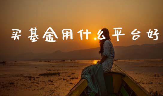 买基金用什么平台好_https://www.lansai.wang_基金理财_第1张
