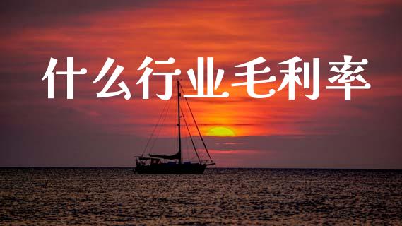 什么行业毛利率_https://www.lansai.wang_恒生指数_第1张