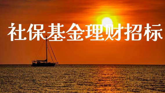 社保基金理财招标_https://www.lansai.wang_基金理财_第1张