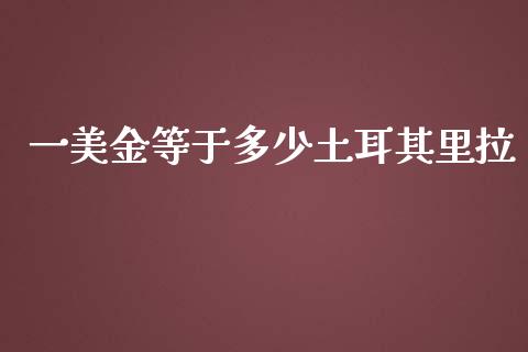 一美金等于多少土耳其里拉_https://www.lansai.wang_期货行情_第1张