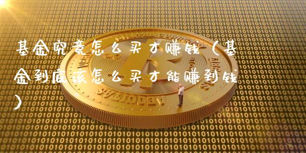 基金究竟怎么买才赚钱（基金到底该怎么买才能赚到钱）_https://www.lansai.wang_基金理财_第1张