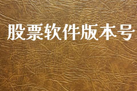 股票软件版本号_https://www.lansai.wang_期货行情_第1张