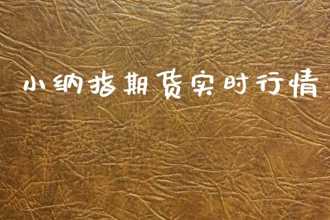小纳指期货实时行情_https://www.lansai.wang_股指期货_第1张