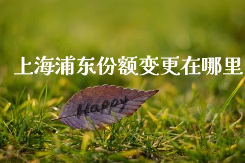 上海浦东份额变更在哪里_https://www.lansai.wang_股票问答_第1张
