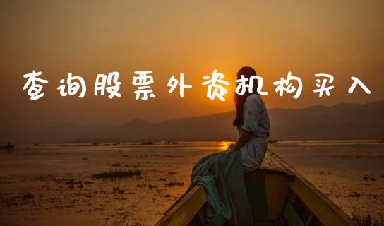 查询股票外资机构买入_https://www.lansai.wang_基金理财_第1张