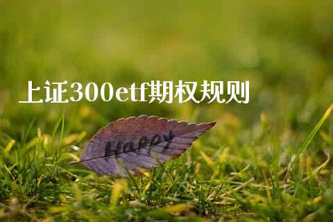 上证300etf期权规则_https://www.lansai.wang_期货学院_第1张